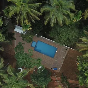 Bed & Breakfast Paddyfield Mananthavady