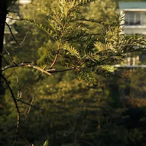 Resort Falcon Crest Vagamon